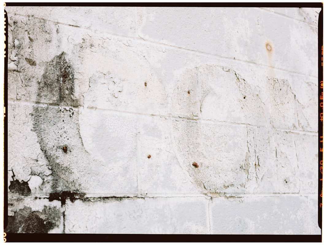 Mold Remediation service in Port Saint Lucie, FL